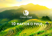 10 уникальных фактов о рисе