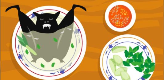 Yarasa şorbası: Koronavirusun başlanğıcı necə olmuşdur