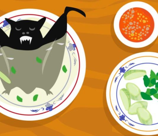 Yarasa şorbası: Koronavirusun başlanğıcı necə olmuşdur