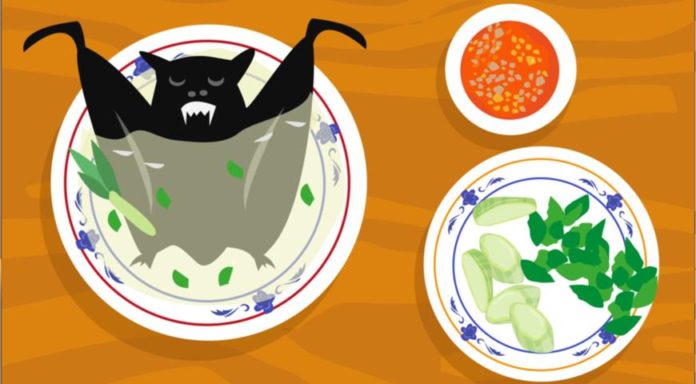 Yarasa şorbası: Koronavirusun başlanğıcı necə olmuşdur