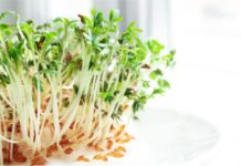 Как вырастить на подоконнике съедобную зелень?