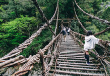 Самые необычные мосты, которые стоит перейти