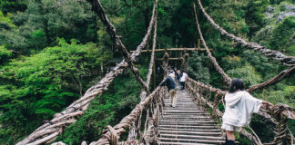 Самые необычные мосты, которые стоит перейти