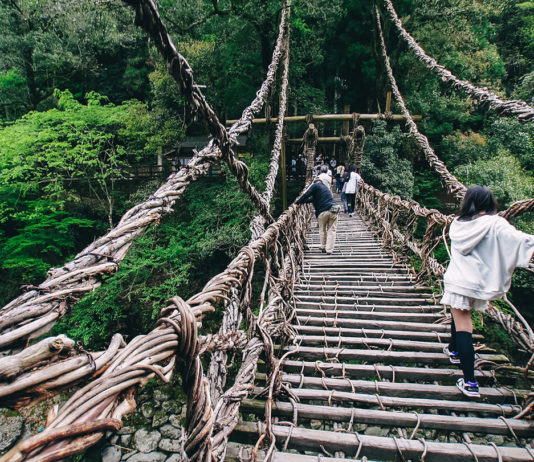 Самые необычные мосты, которые стоит перейти